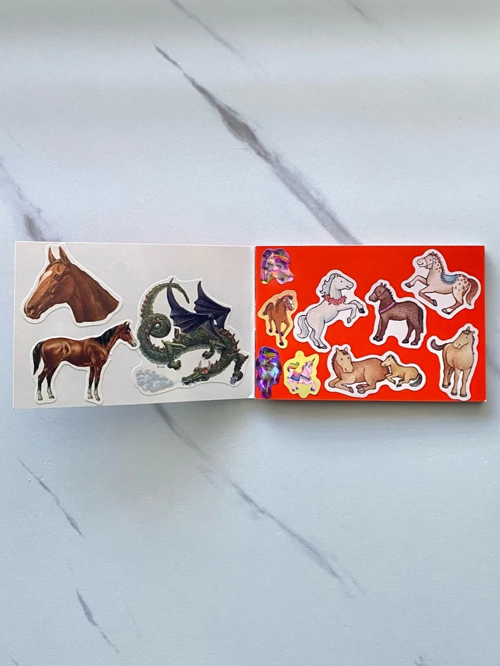 VTG Lisa Frank Hunter leopard small used sticker collection booklet